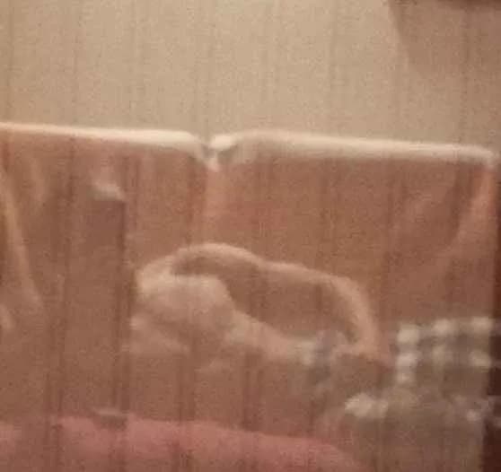 Amos - Plan cul à Modane Profil de Amos, 23 ans, Plan cul à Modane (Savoie)