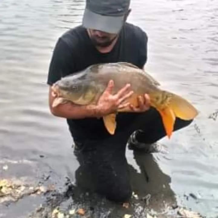 Profil de Sacha, 21 ans, Plan cul à Faverdines (Cher)