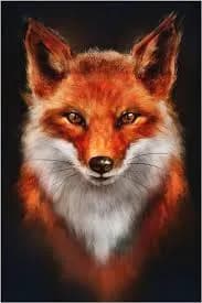 Profil de Jonah, 31 ans, Plan cul à Thouars-sur-Arize (Ariège)